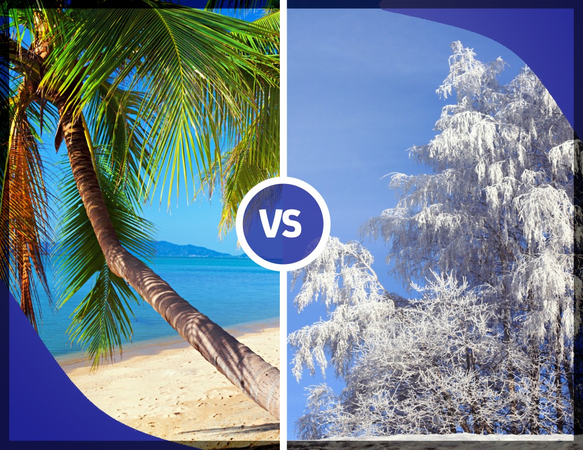 Summer vs. Winter Traveling A Guide for Couples