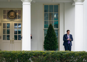 In Trying To Get Trump Back Into The White House, Mike Lindell Is Wasting So Much Money Every Month