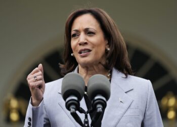 Poll Shows Kamala Harris as Frontrunner for 2028 Democratic Presidential Nomination