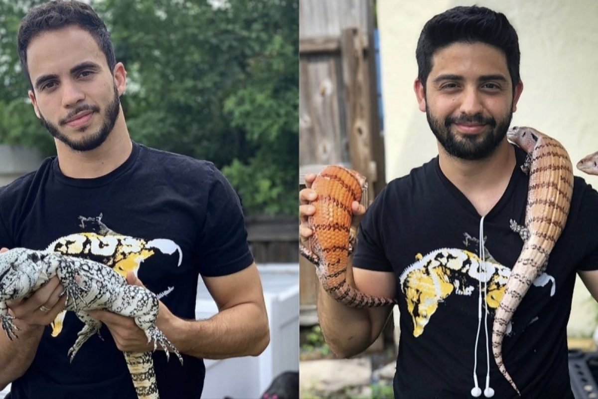 Tiki's Geckos