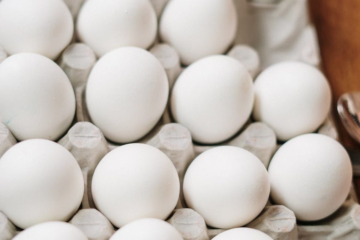 white eggs on white tray